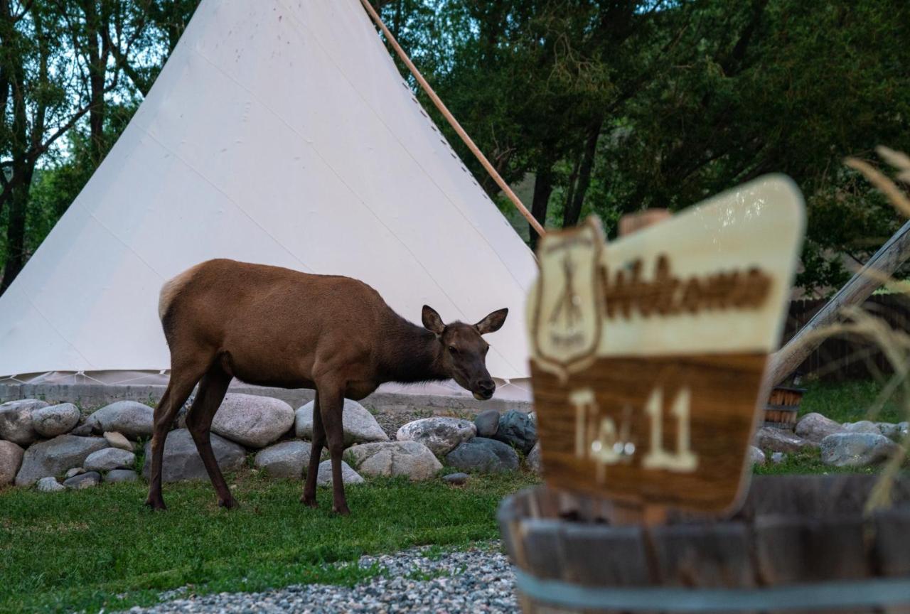 Dreamcatcher Tipi Hotel ガーディナー エクステリア 写真