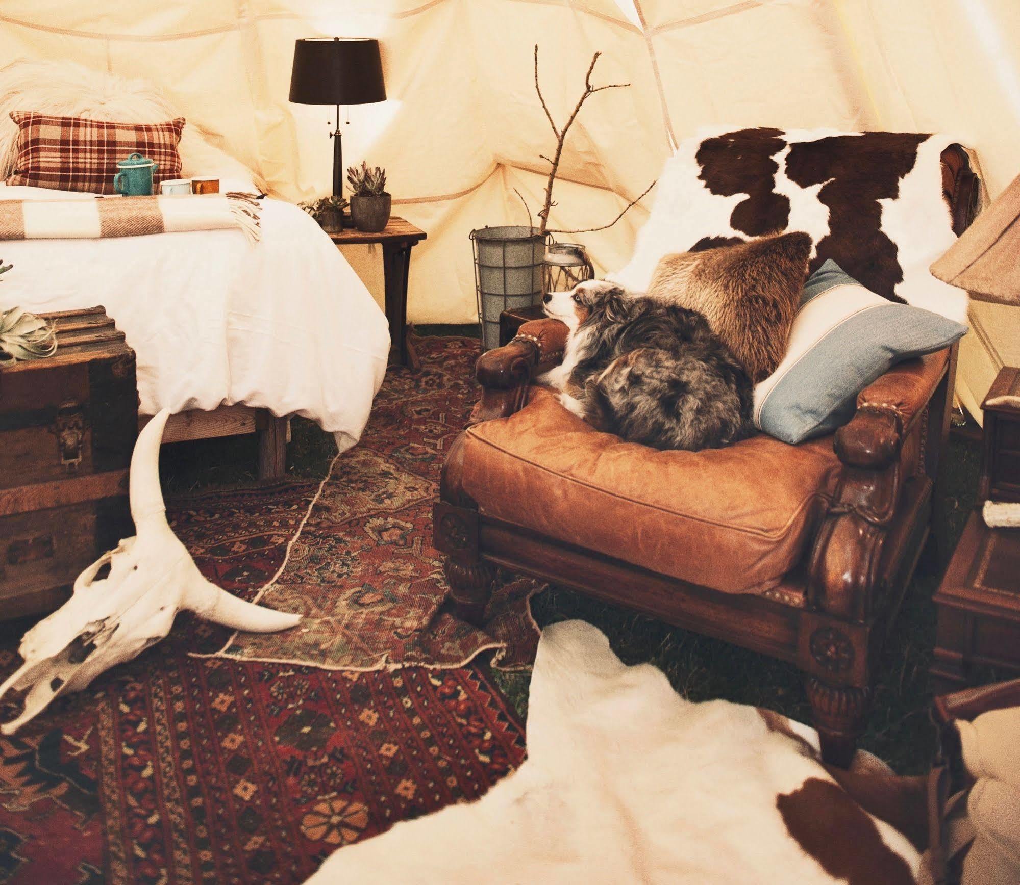Dreamcatcher Tipi Hotel ガーディナー エクステリア 写真